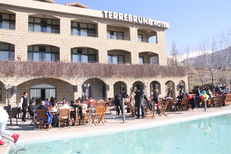 Terrebrune BBQ Winter Pool Party